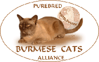 Purebred Burmese Cats Alliance