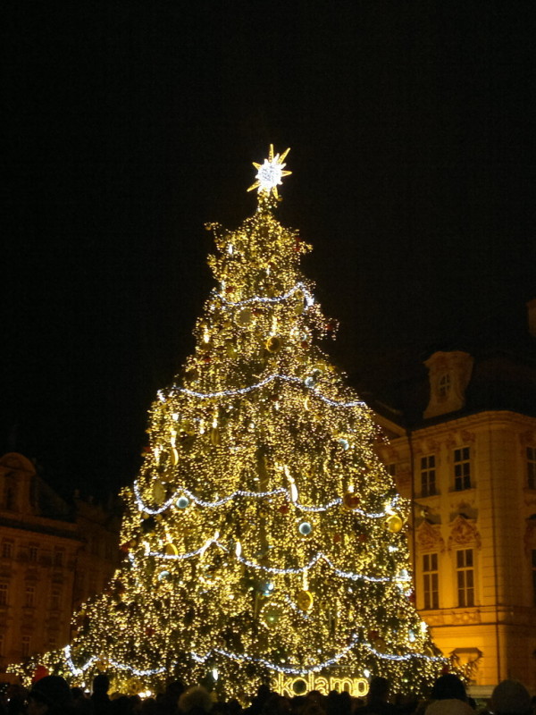 Goldener Weihnachtsbaum auf dem Altstädter Ring, Prag 2013
