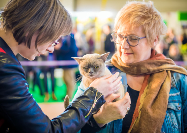 "Yoda" und unsere Menschin